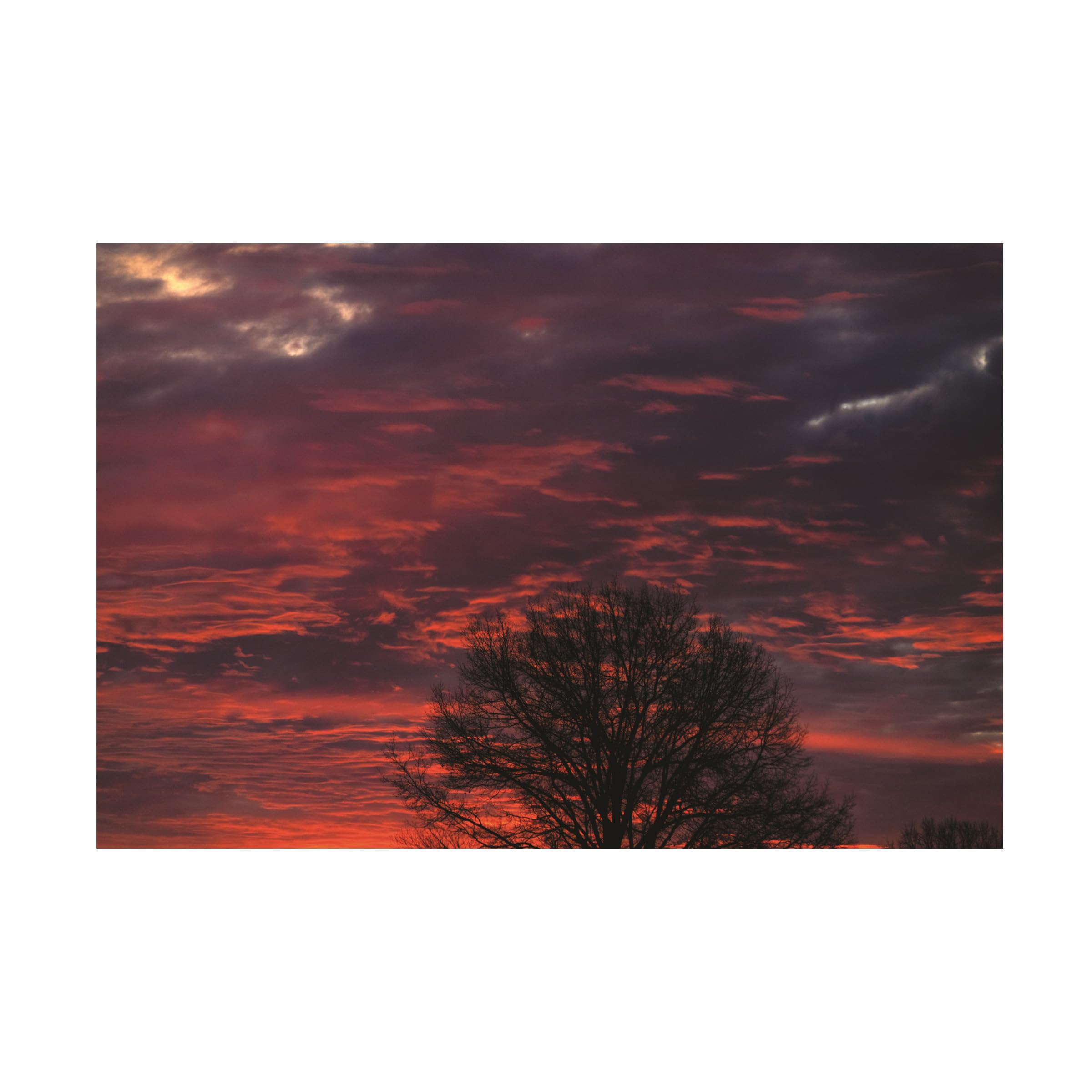 Kurt Shaffer 'Incredible Red Sunrise' Photographic Canvas Wall Art - Stunning Landscape Photography for Living Room, Bedroom & Office Decor