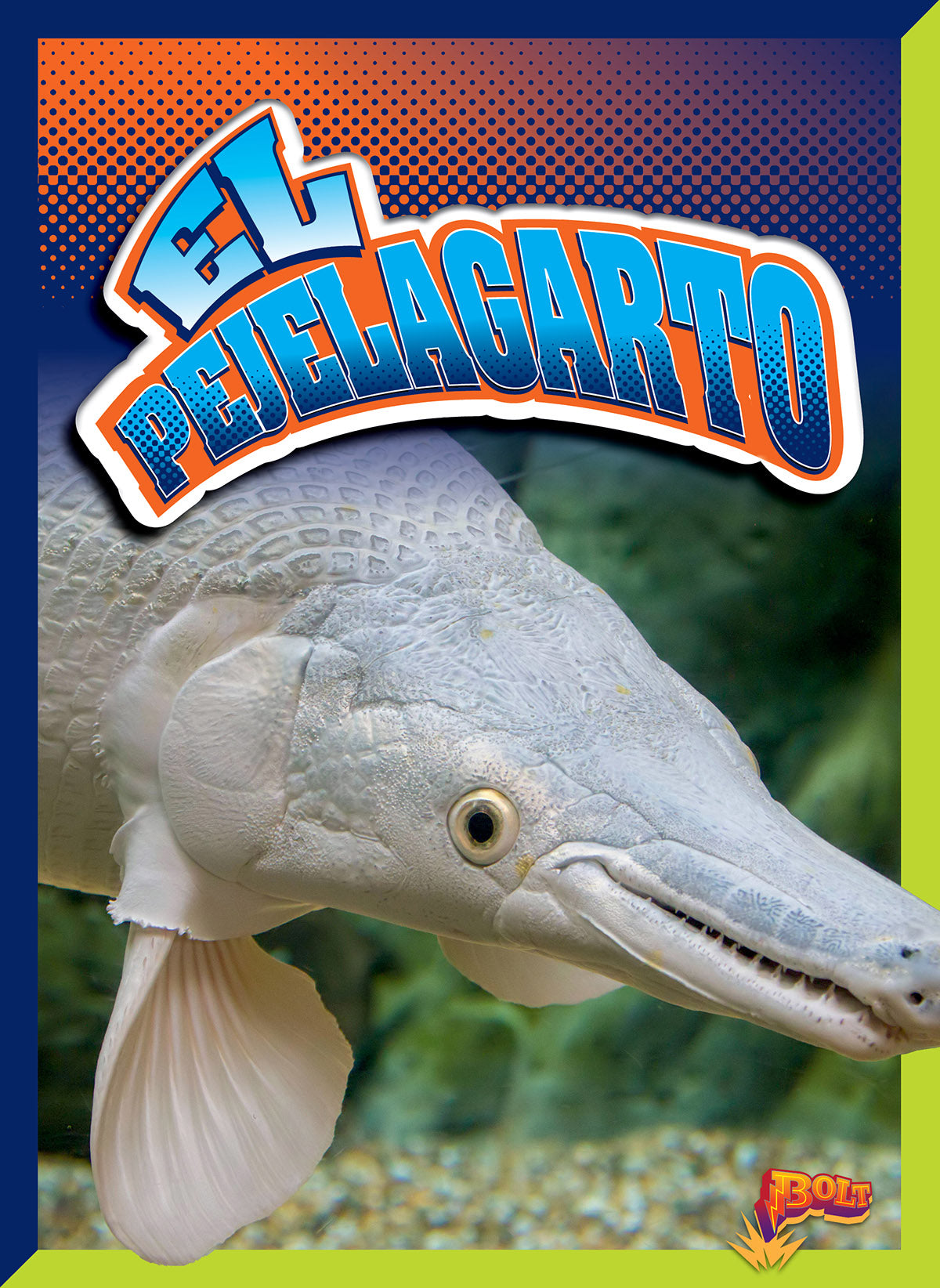 El Pejelagarto Book 9781644666456 - Explore Mexican Culture & Wildlife - Perfect for Readers, Students & Travel Enthusiasts