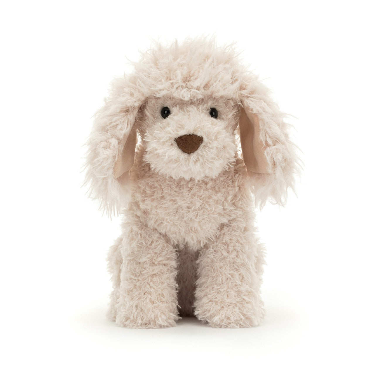 Georgiana Poodle Dog - Adorable Toy Poodle for Sale | Perfect Family Pet & Companion for Kids & Seniors | Great for Home, Travel & Outdoor Adventures