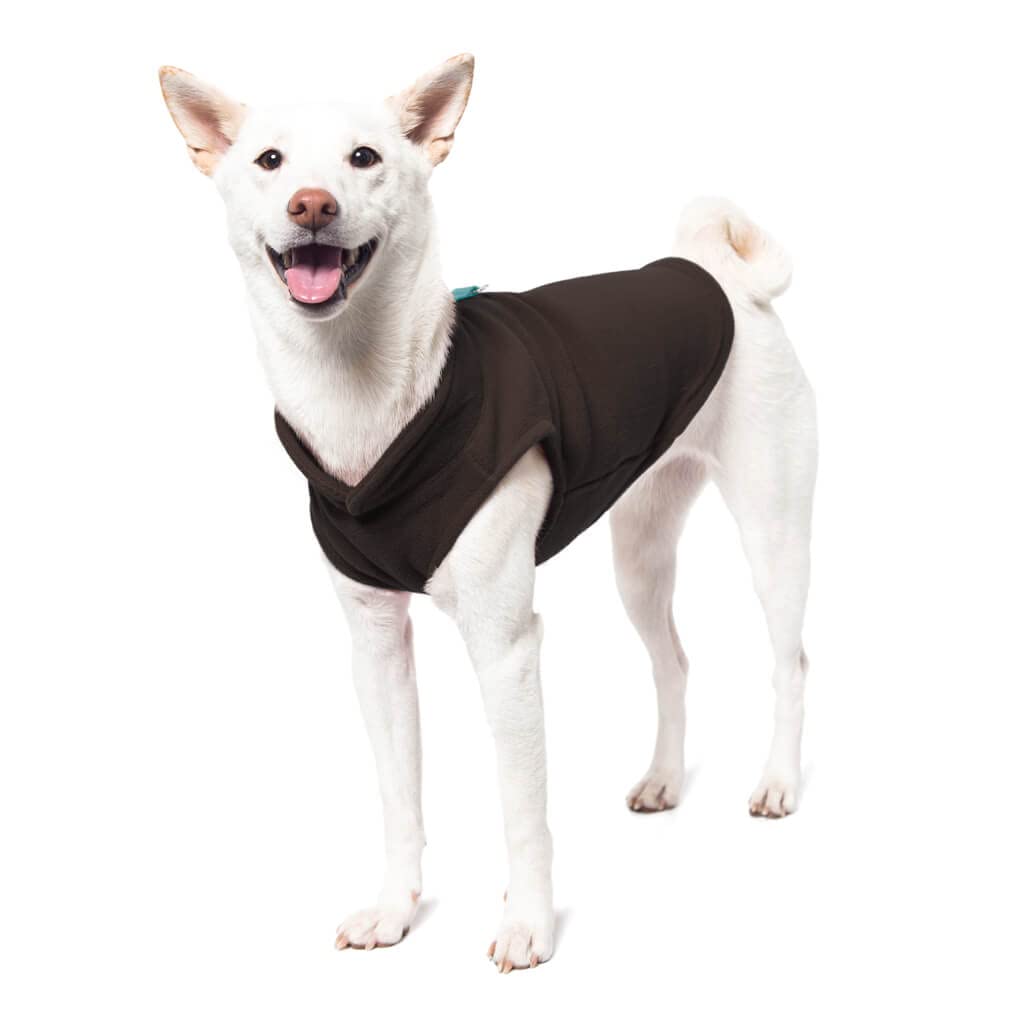 Gooby Fleece Vest Dog Sweater - Warm Winter Pullover Fleece Jacket with O-Ring Leash for Small Dogs (Brown-Turquoise, Small) | Cold Weather Dog Clothes for Indoor & Outdoor Activities, Perfect for Walks and Playtime