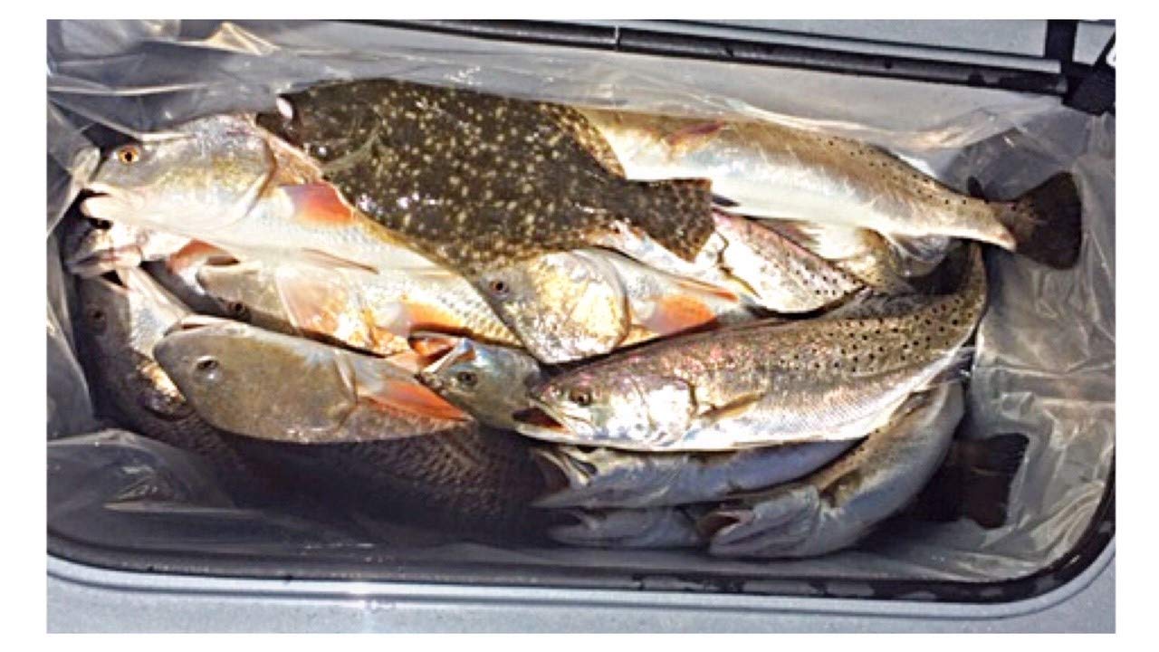 BPA-Free Disposable Cooler Liner for Ice Chests 16QT to 150QT - Plastic Cooler Insert for Fishing, Camping, BBQ, Butchering & Beverages - Perfect for Outdoor Parties, Picnics and Tailgating