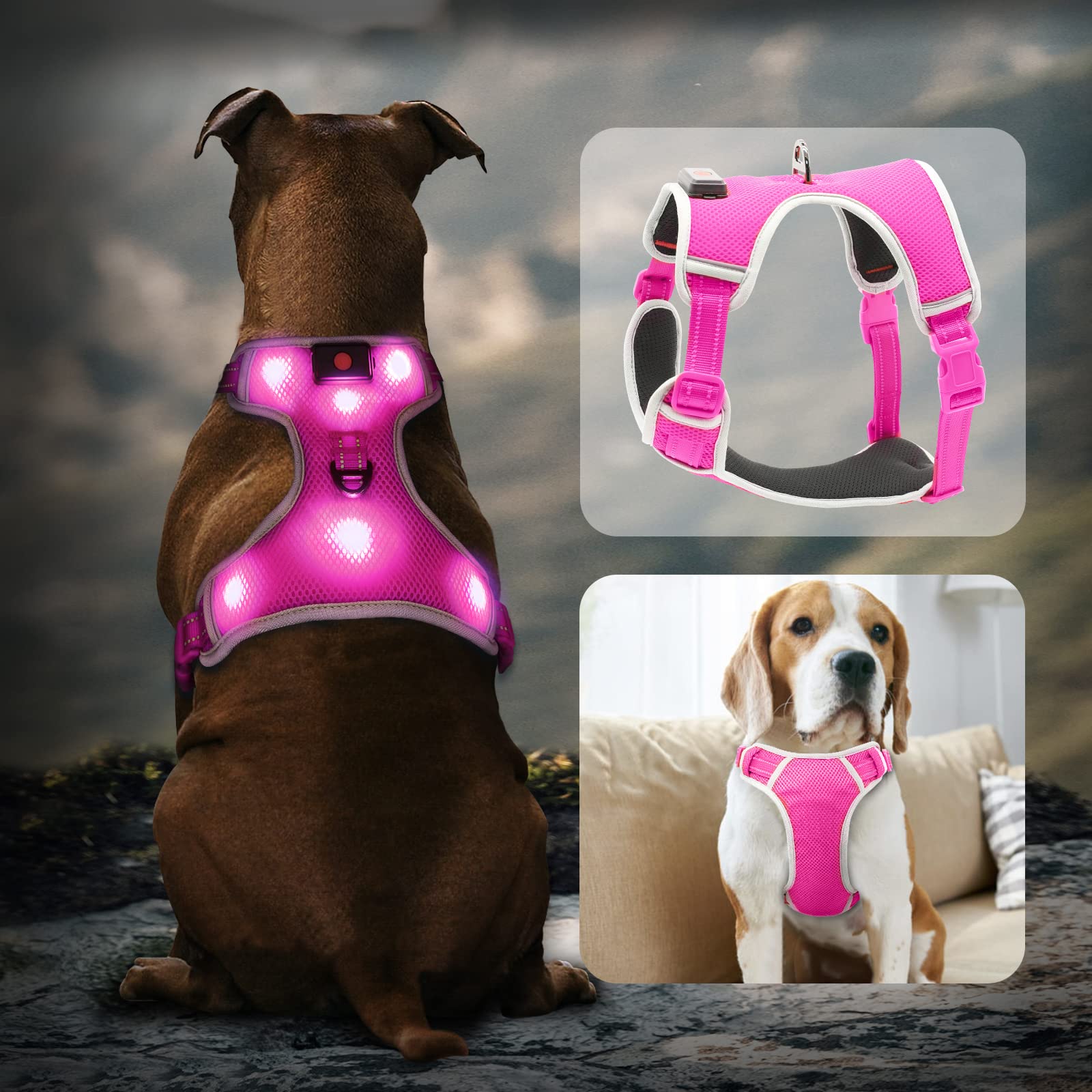LED Dog Harness with Rechargeable Lights - Reflective Adjustable Puppy Vest for Small Dogs, Night Walking Safety Gear with Light Up Collar (Pink, Small) - Perfect for Evening Walks, Jogging & Outdoor Adventures