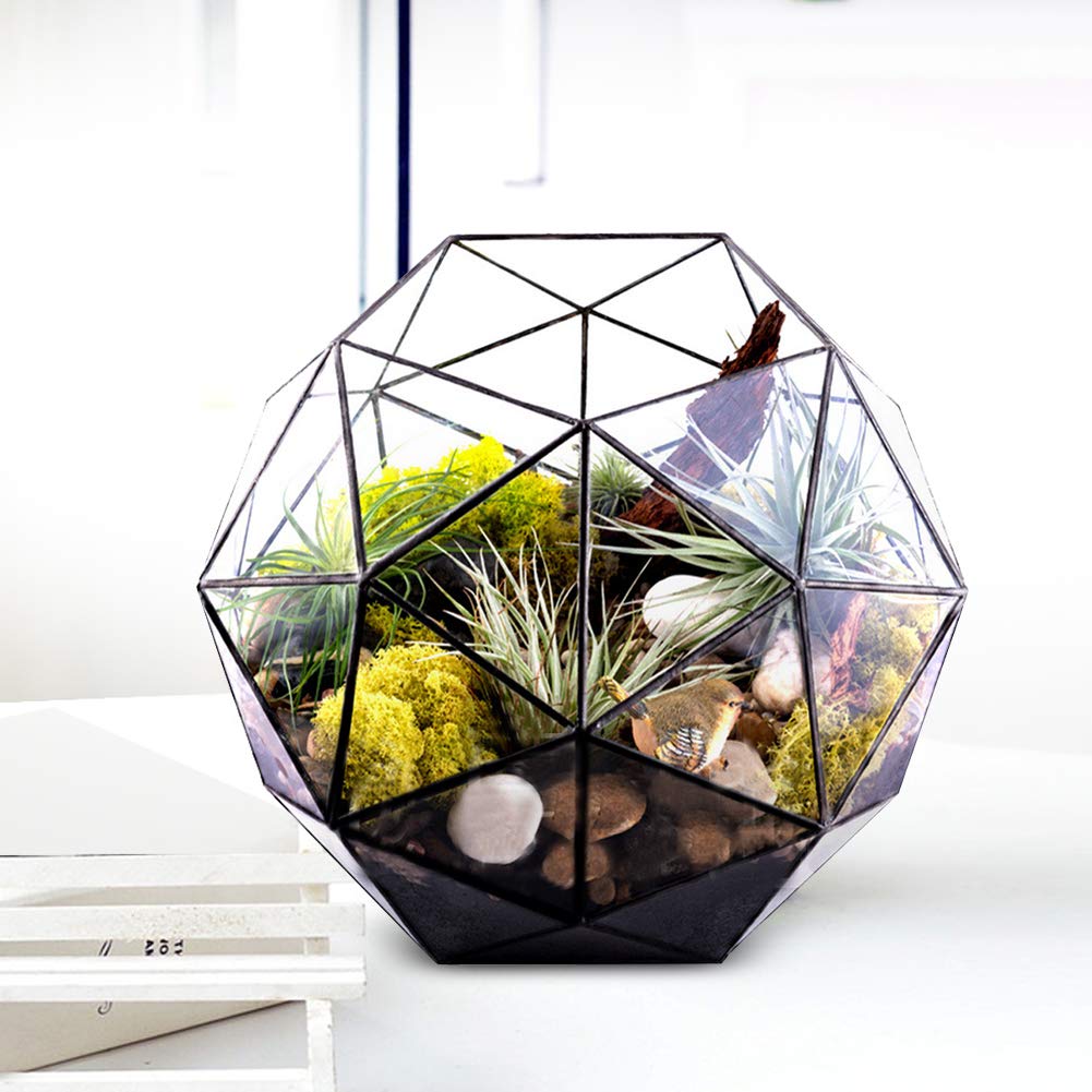 Geometric Glass Terrarium Planter for Air Plants & Succulents - Modern Miniature Fairy Garden Decor for Balcony, Tabletop & Indoor Display | Perfect for Home, Office & Wedding Centerpieces