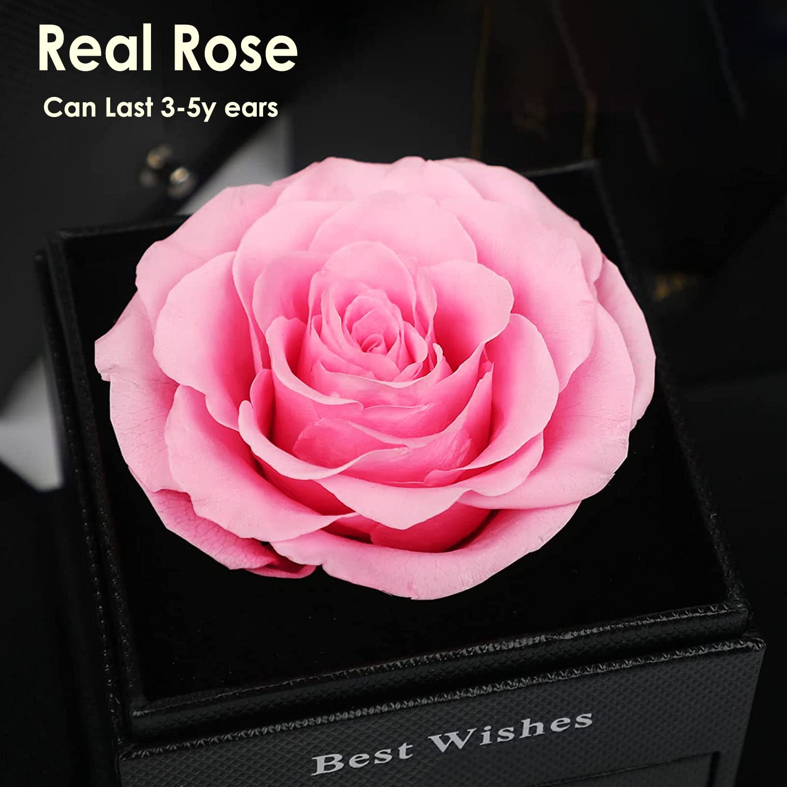 Enchanted Real Rose Jewelry Gift Box with Ruby Rose Brooch - Handmade Eternal Preserved Rose for Women, Wife, Girlfriend, Mom - Perfect for Valentine's Day, Anniversary, Birthday & Mother's Day Gifts - Romantic Keepsake for Special Occasions