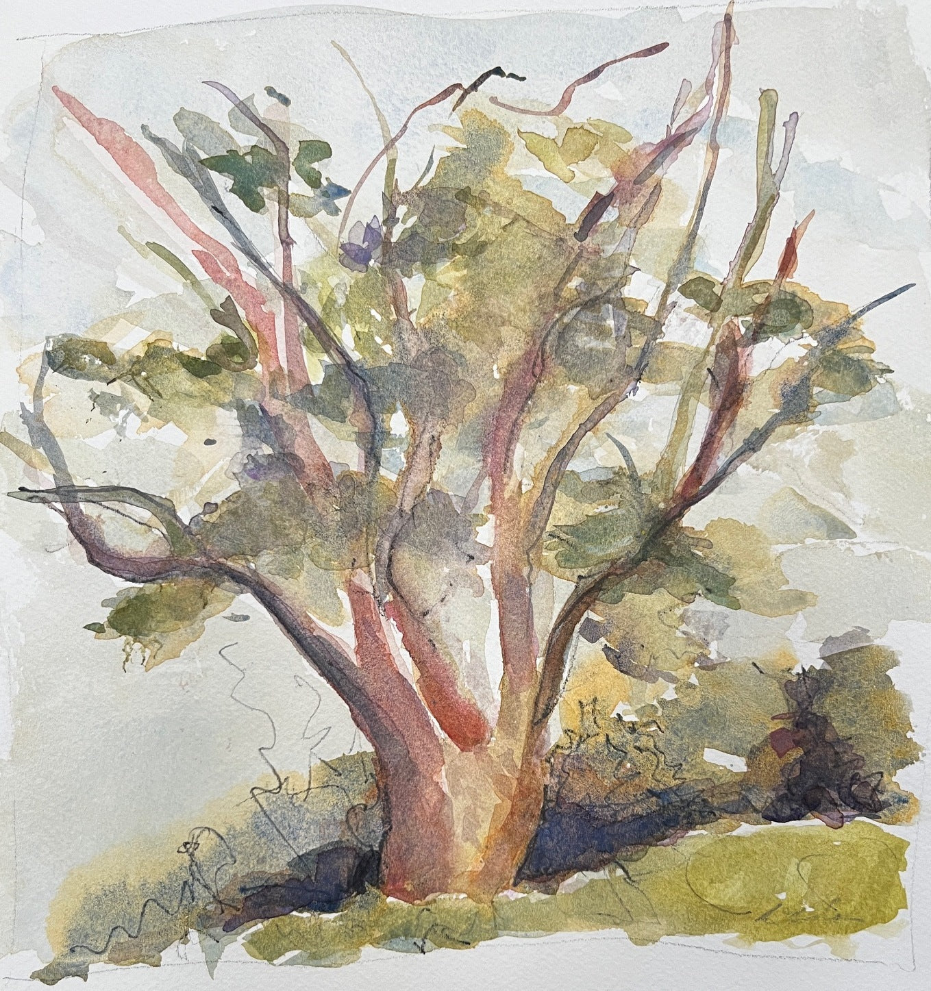 Cathleen Cohen: This Swath of Land - Contemporary Landscape Art Print for Home & Office Decor | Perfect for Living Rooms, Bedrooms, and Gallery Walls