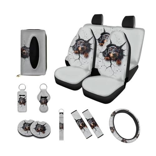 Dachshund Dog Crack Grey