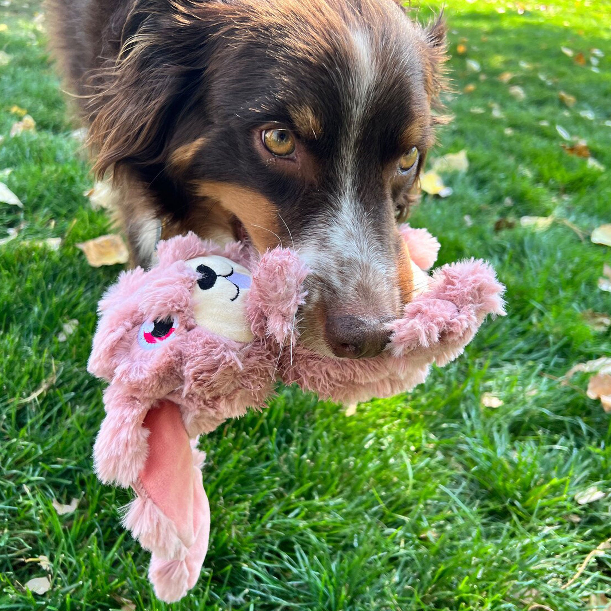 Kong Scrumplez Bunny Pink Dog Toy - Durable Chew Toy for Small & Medium Dogs - Perfect for Playtime & Training - Indoor & Outdoor Use