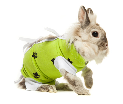 VetMedWear Recovery Gown for Cats, Dogs & Rabbits - Soft Post-Surgery Protective Suit | Comfortable E Collar Alternative for Wound Healing, Spay/Neuter Recovery & Pet Care at Home
