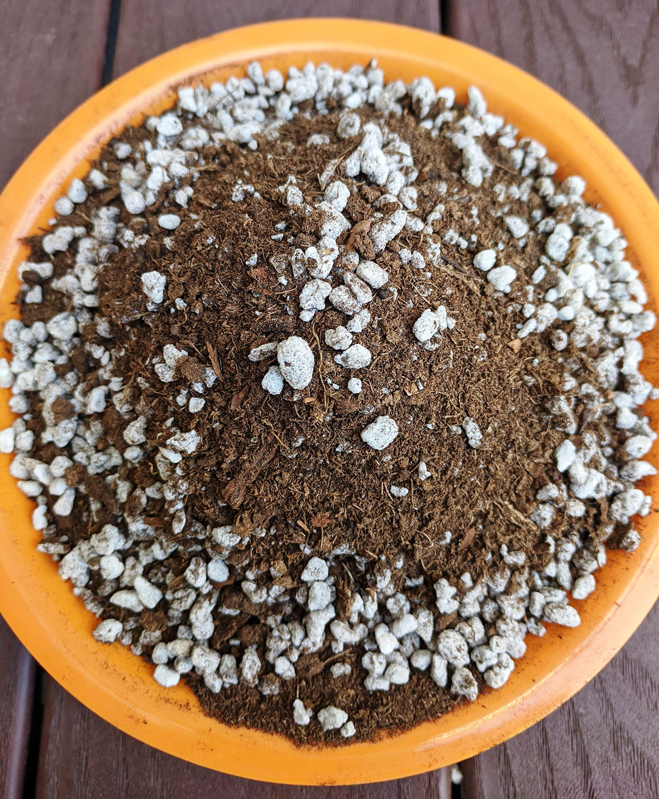 Organic Tulsi Holy Basil Curry Leaf Jasmine Plant Potting Soil Mix - 3 Cups (1 Quart) for Indoor Herb Garden, Ayurvedic Plants & Fragrant Flowers