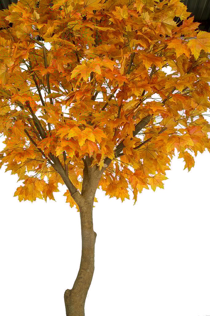 10'6 Large Silk Sugar Maple Tree with Pot - Realistic Orange/Red Foliage - Perfect for Home Decor, Office, Wedding Centerpieces & Seasonal Displays