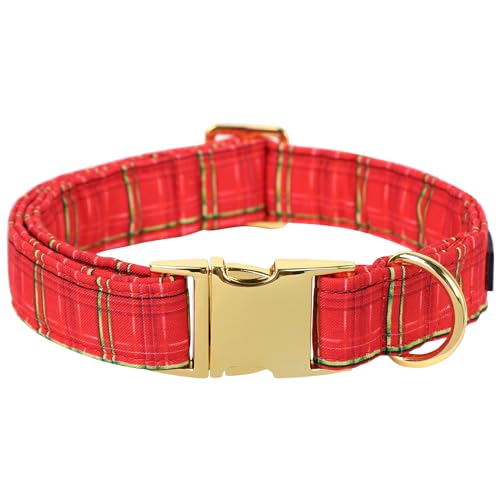 C-gold red grid