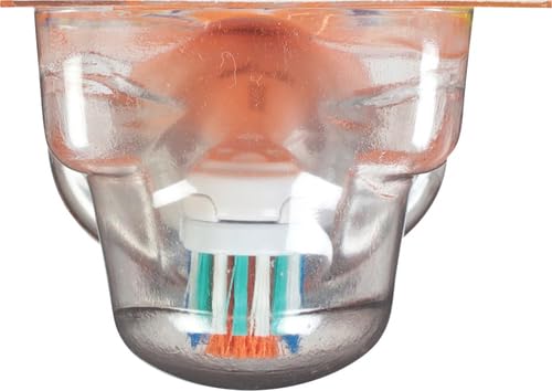 Spinbrush PRO+ Extra White Battery-Powered Toothbrush - Removes 100% More Plaque with Soft Bristles - Includes Batteries - Perfect for Travel & Daily Oral Care