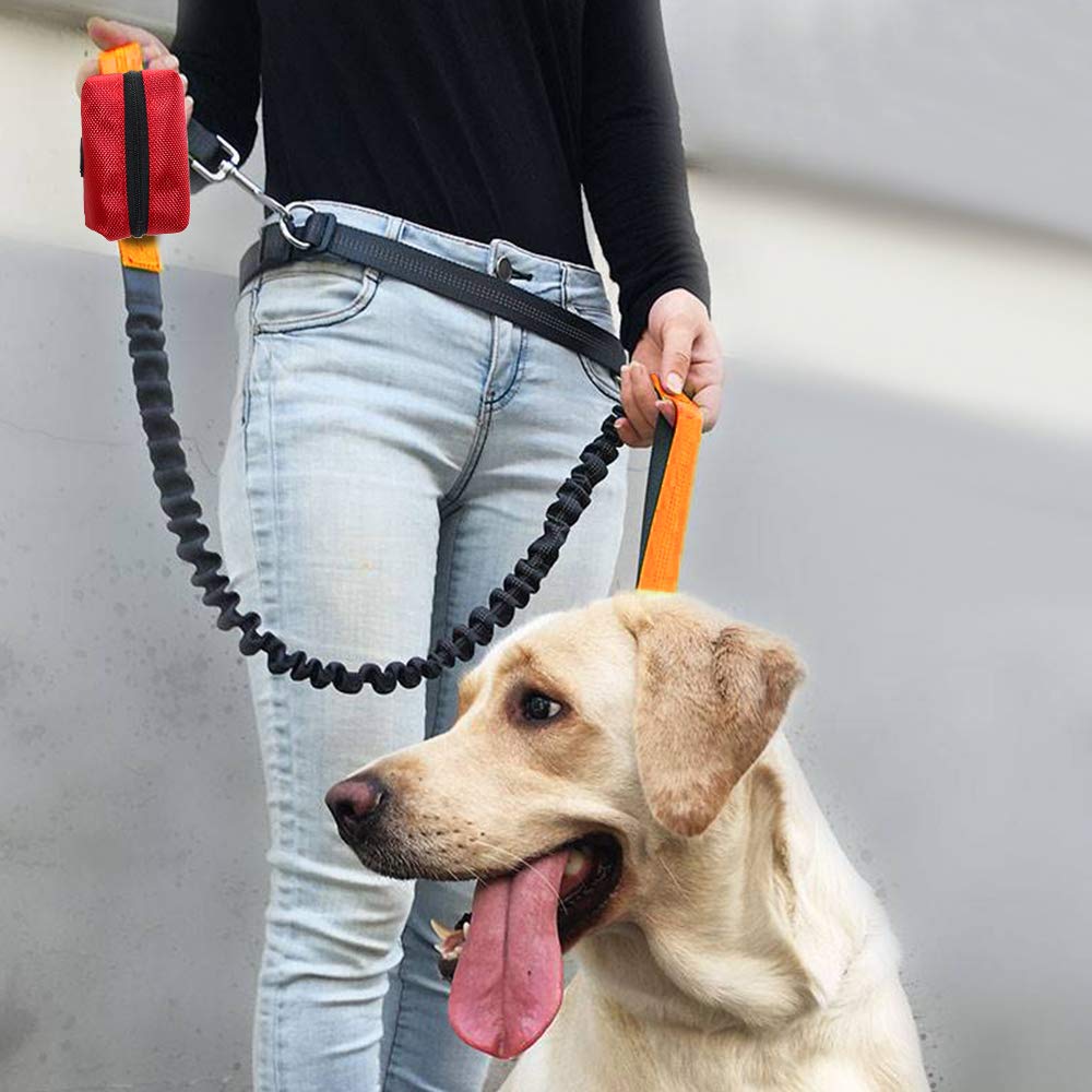 SLSON Portable Dog Poop Bag Holder - Leash Attachment with Zippered Pouch, Lightweight Fabric Waste Bag Dispenser for Dogs (Red) | Ideal for Walking, Hiking, and Outdoor Pet Cleanup