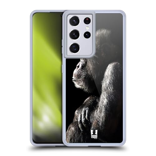 Male Chimpanzee