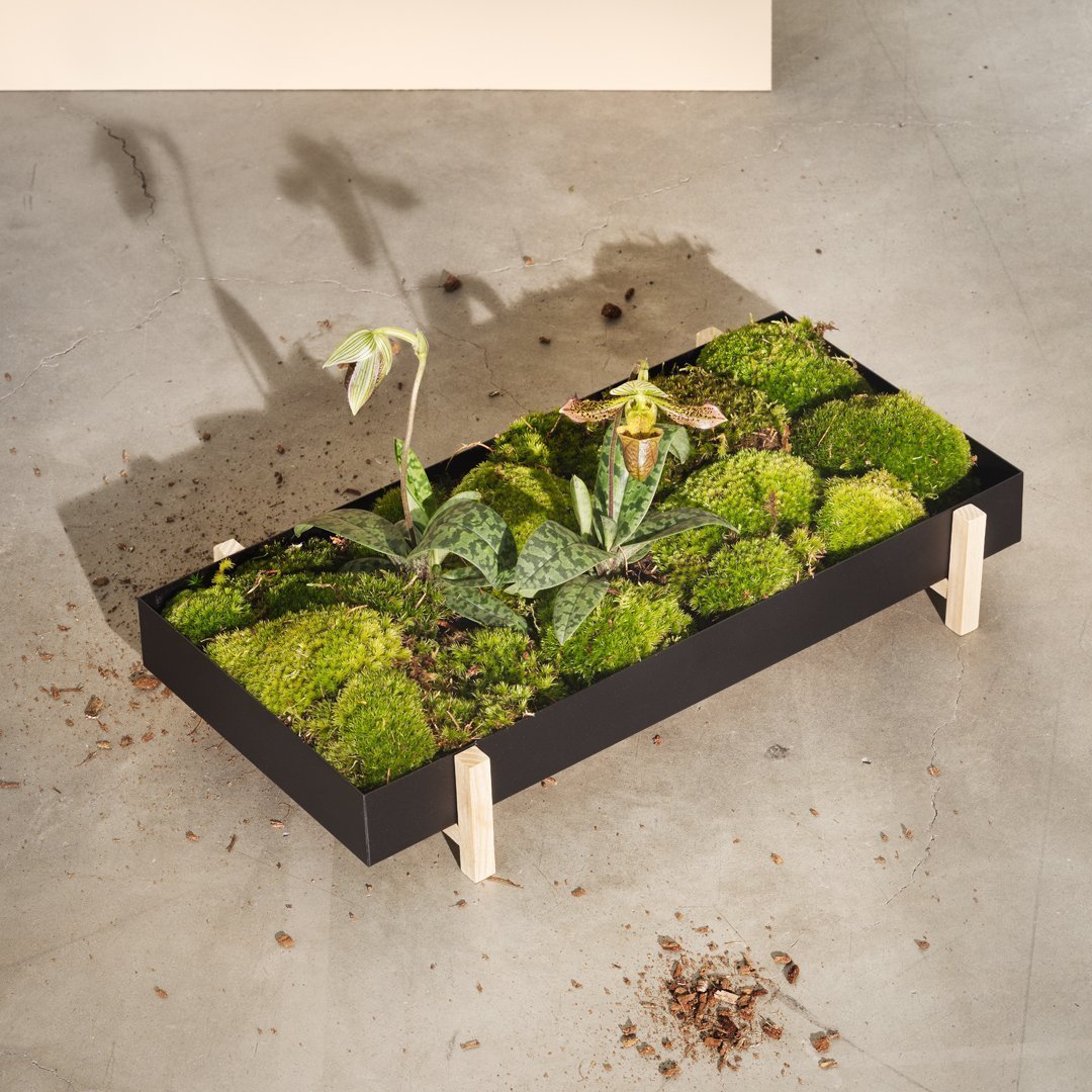 Atelier Botanic Tray - Handcrafted Wooden Serving Tray with Scandinavian Design from Stockholm | Perfect for Breakfast in Bed, Coffee Table Decor & Gift Giving