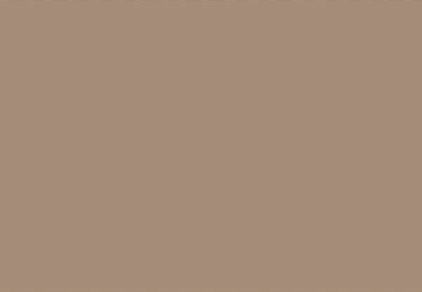 Colorcrete - Premium Concrete Pigment for DIY Projects & Professional Use - Perfect for Driveways, Patios & Floors