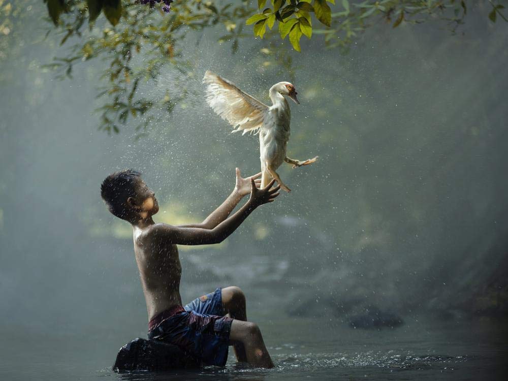 1500 Piece Jigsaw Puzzle for Adults - Classic Wooden Animal & Scenery Puzzle (Boy with Bird) - 87x58cm Challenging DIY Educational Toy - Perfect Gift for Puzzle Lovers & Home Decor - Great for Family Game Nights, Stress Relief & Cognitive Training