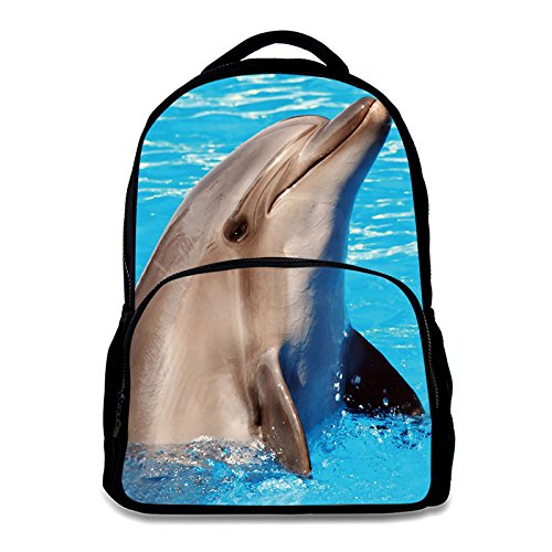 Dolphin