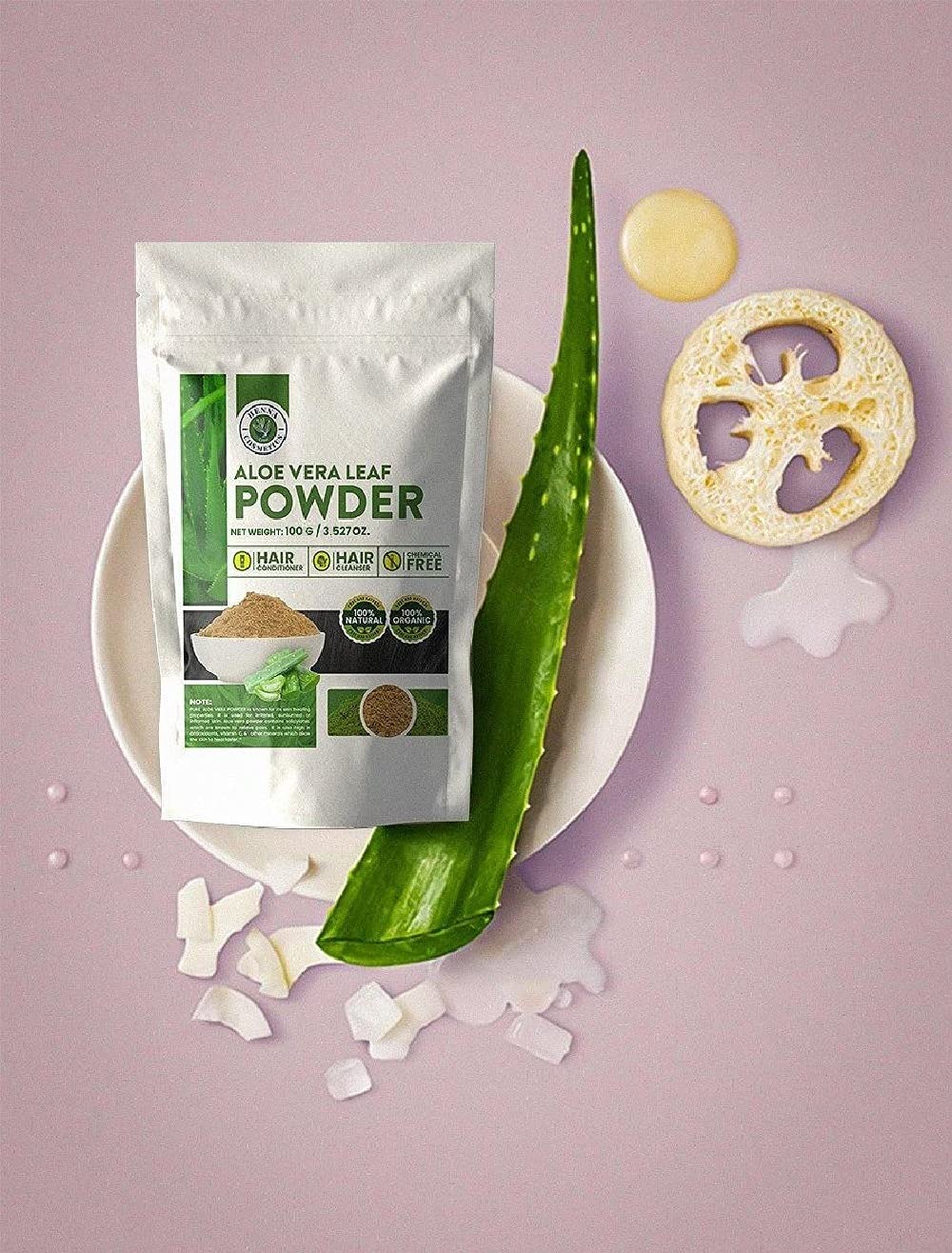 Organic Aloe Vera Leaf Powder (Aloe Barbadensis) - 100% Pure Natural Moisturizer for Hair & Skin Care | 3.53 Oz (100g) | DIY Face Masks, Juice, Salve & Beauty Recipes | Perfect for Dry Skin & Hair Treatment