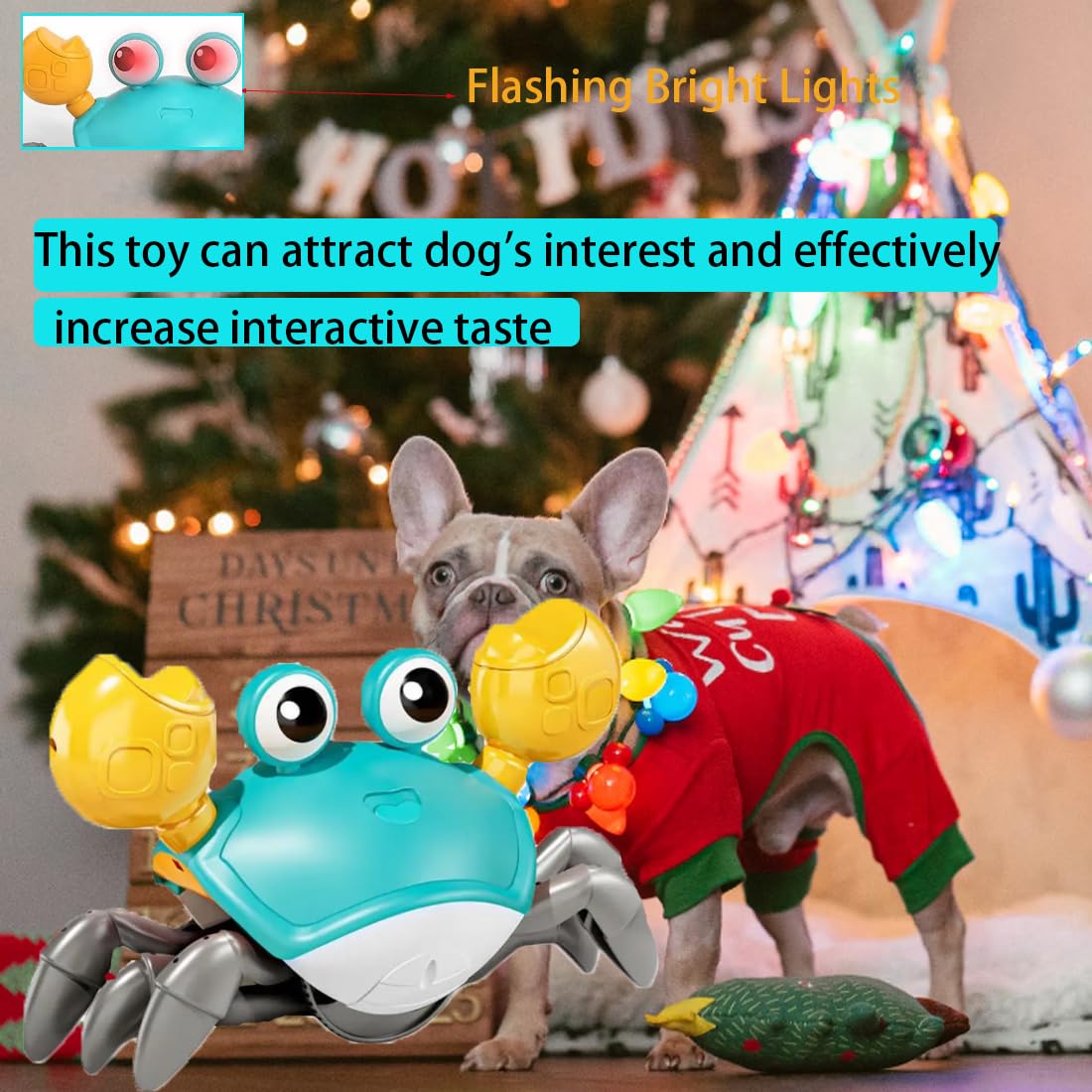 Interactive Dancing Crab Dog Toy with Music & Lights - Fun Chew Toy for Puppy, Small & Medium Dogs - Relieves Boredom & Anxiety - Perfect Pet Gift for Playtime & Training