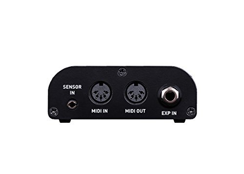 Source Audio Neuro Hub MIDI Controller & Switcher - Professional Guitar Effects Pedal MIDI Interface for Live Performance & Studio Recording