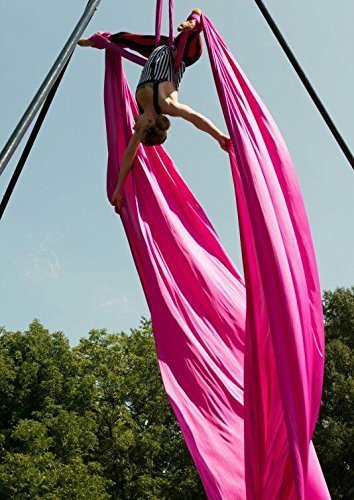DASKING Premium Aerial Silks Equipment - Professional Safe Deluxe Aerial Yoga Kit for Home & Studio Training - Perfect for Aerial Fitness, Dance and Circus Performance