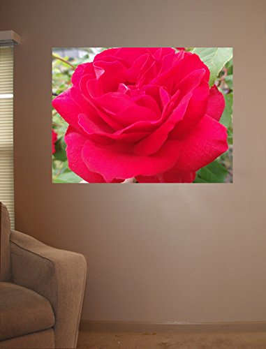 45x60 Inch Red Crimson Rose Wall Decal Poster - Sumerlin Large Floral Wall Sticker for Living Room, Bedroom, Office Decor