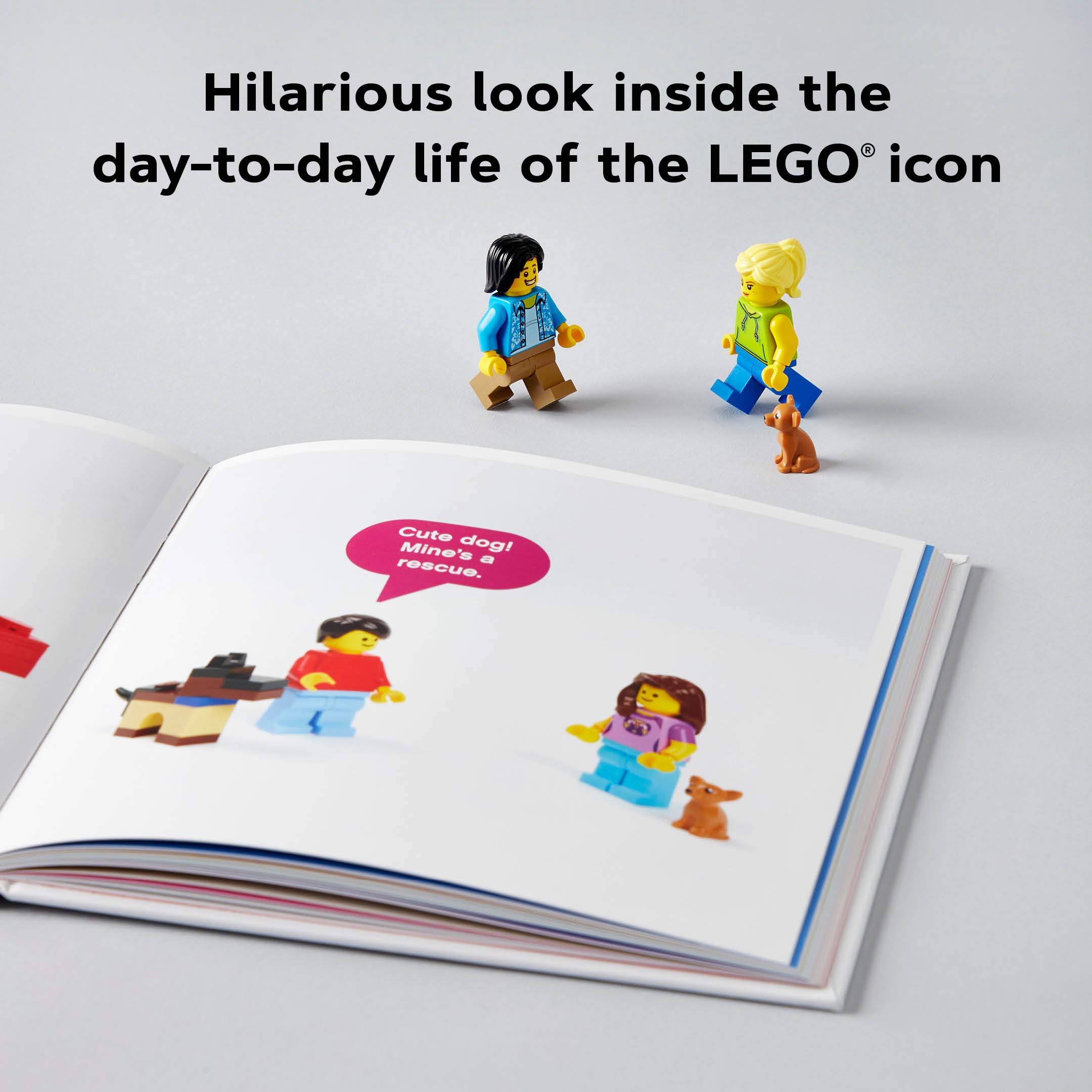 LEGO Small Parts: The Secret Life of Minifigures - LEGO x Chronicle Books Collaboration | Fun Collectible for LEGO Fans & Creative Play