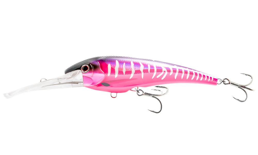 Hot Pink Mackerel