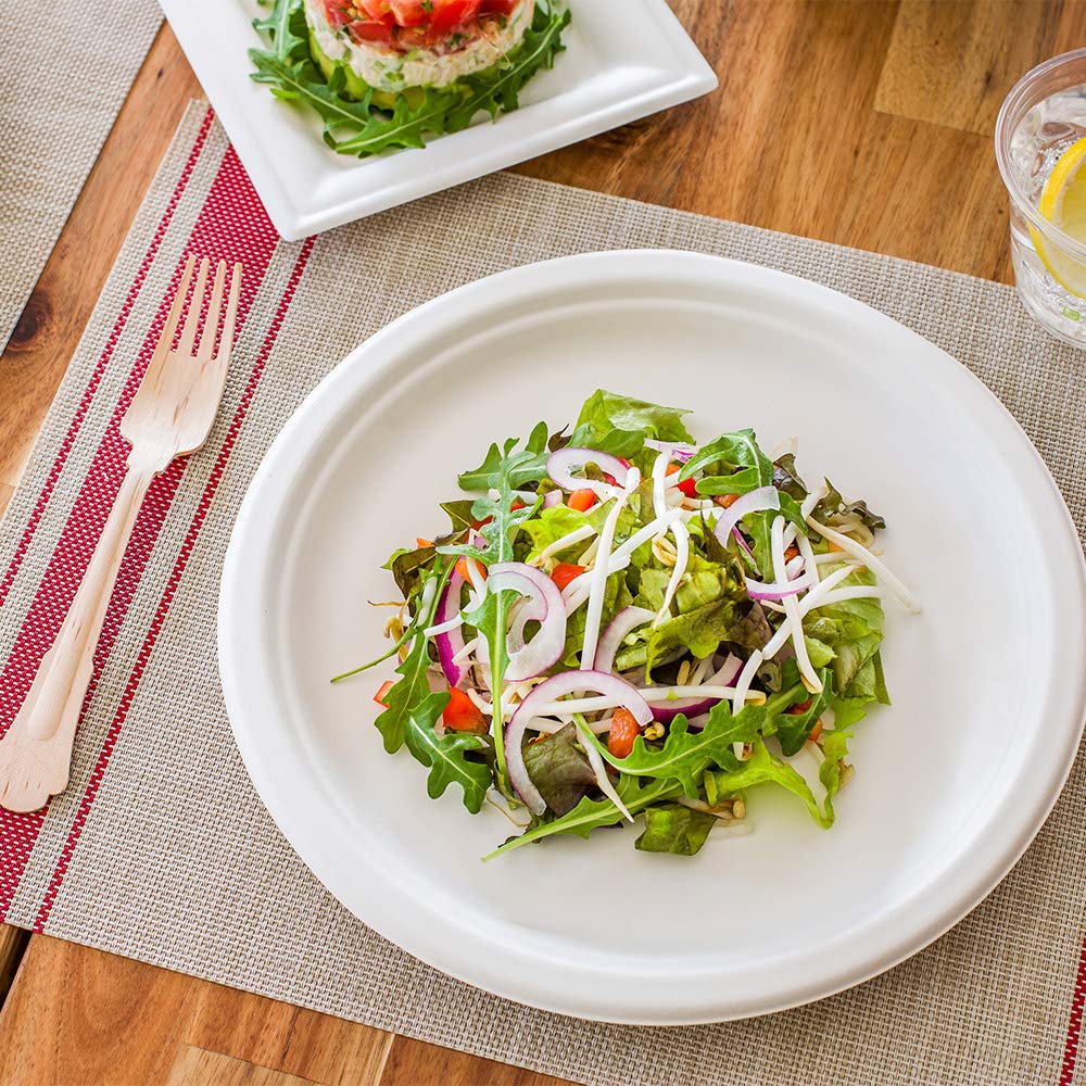Eco-Friendly 10.3 Inch Disposable Dinner Plates - 100 Pack Heavy-Duty Bagasse Plates Made from Natural Sugarcane Fibers | Sturdy, Premium White Round Plates for Restaurants, Catering & Outdoor Events