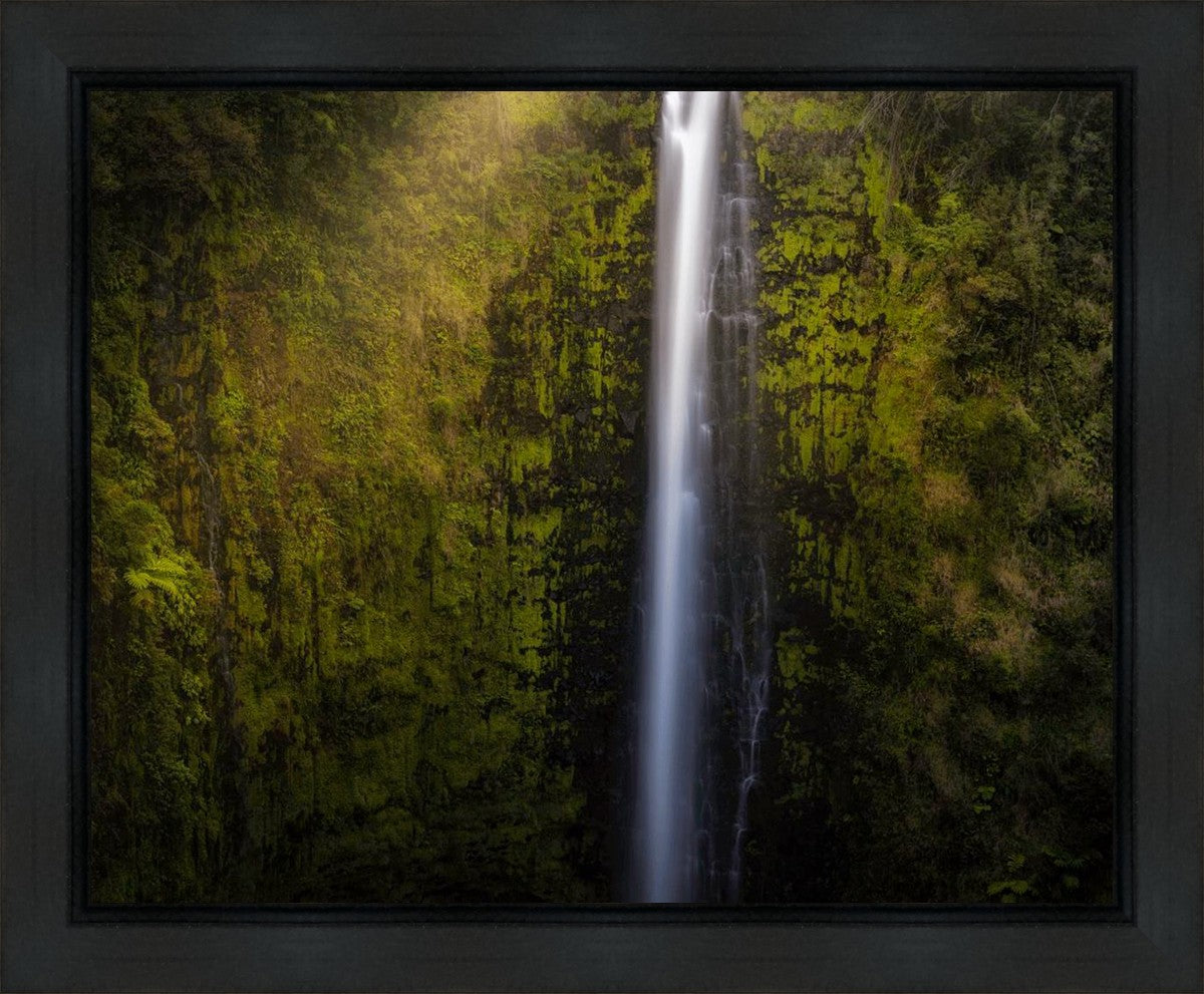 Stunning Akaka Falls Hawaii Landscape Art Print - Premium Gallery Wrap Canvas for Home & Office Decor - Perfect for Living Room, Bedroom, or Gift