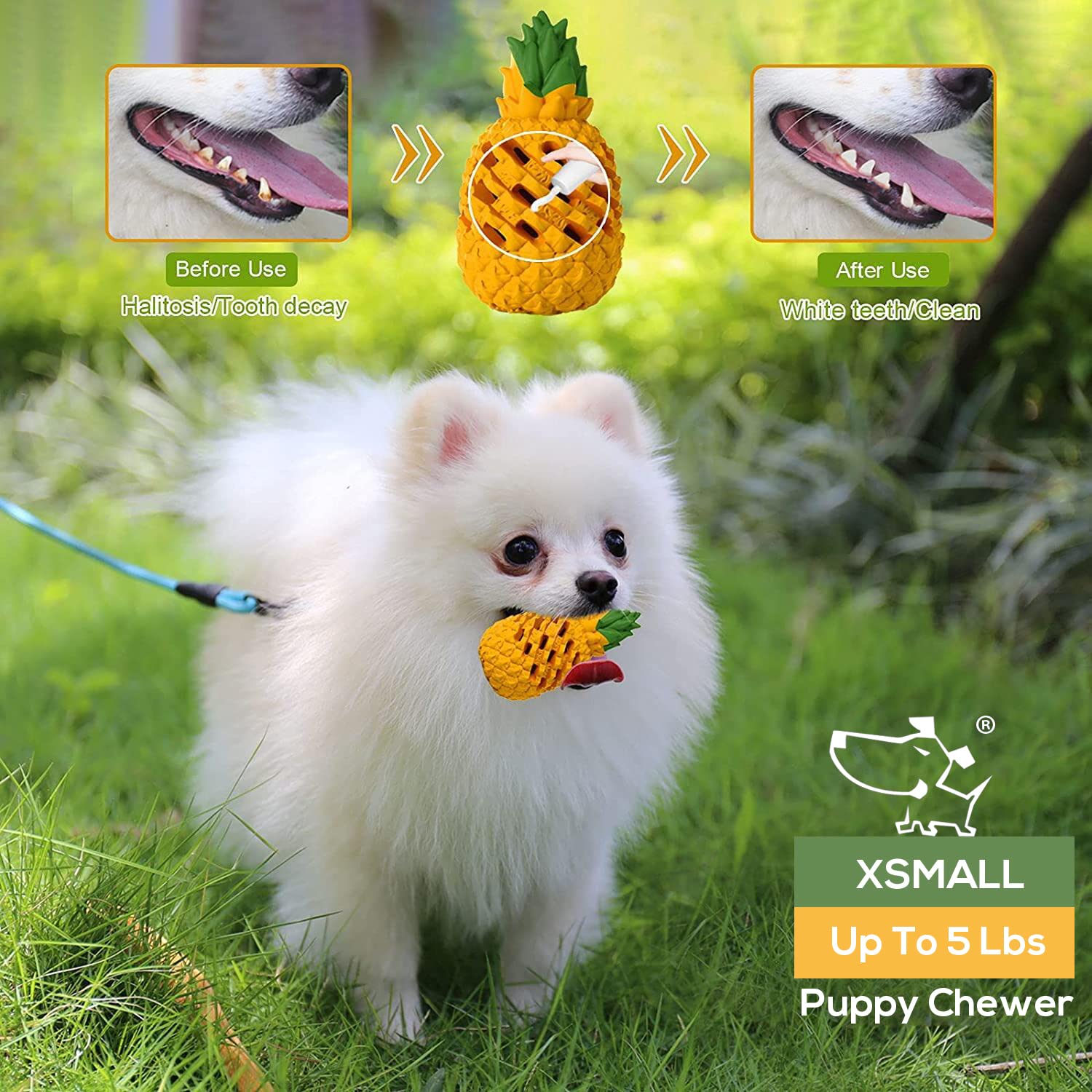 Durable Puppy Chew Toys for Small Dogs 5-30 lbs - Tough Indestructible Dental Chew Toys for Moderate Chewers - Perfect for Teething, Boredom Relief & Dental Health (XSmall Size)