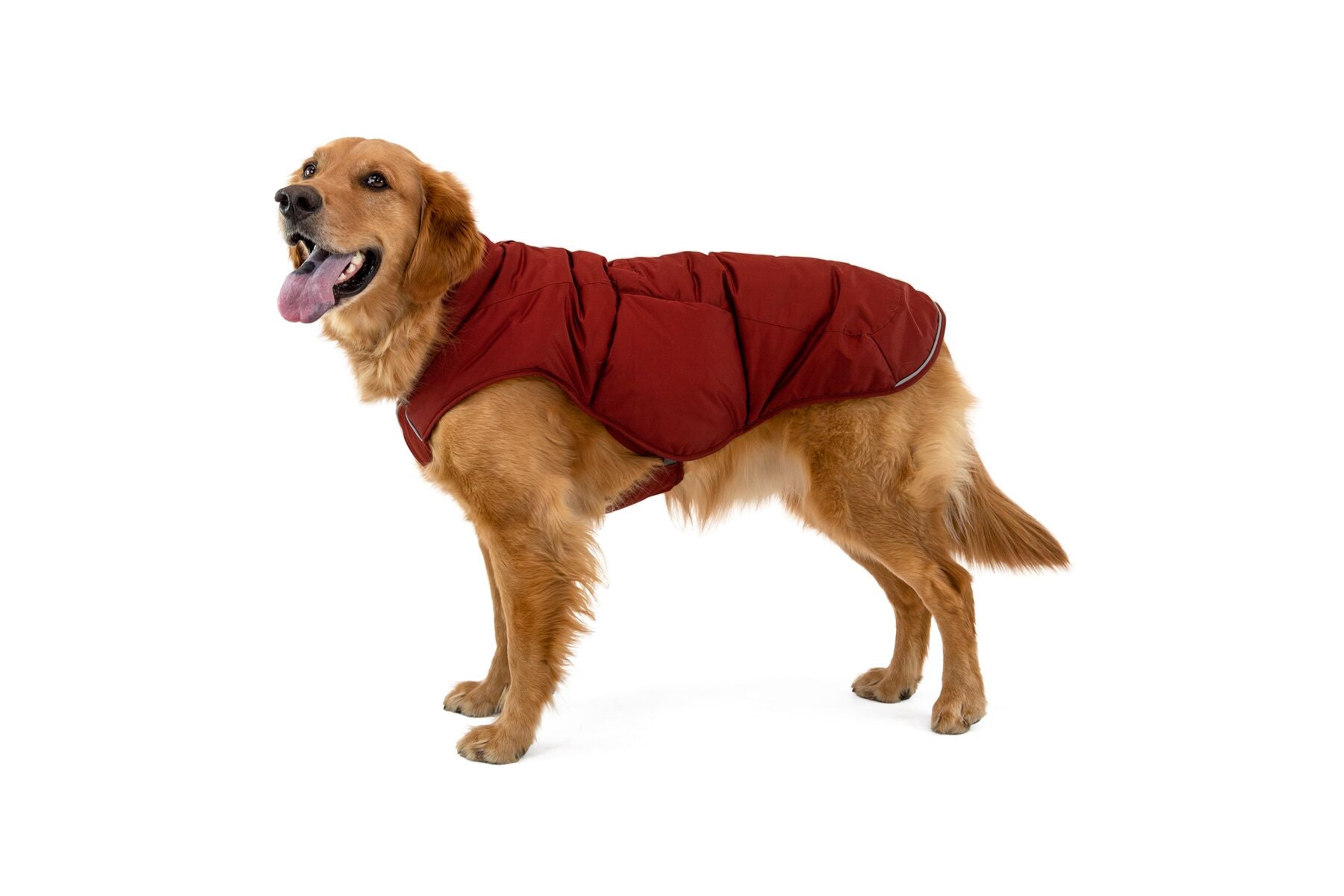 Ruffwear Quinzee Dog Jacket - Blue Moon Color, Waterproof & Insulated Winter Coat for Small to Large Dogs - Perfect for Hiking, Camping, and Cold Weather Adventures