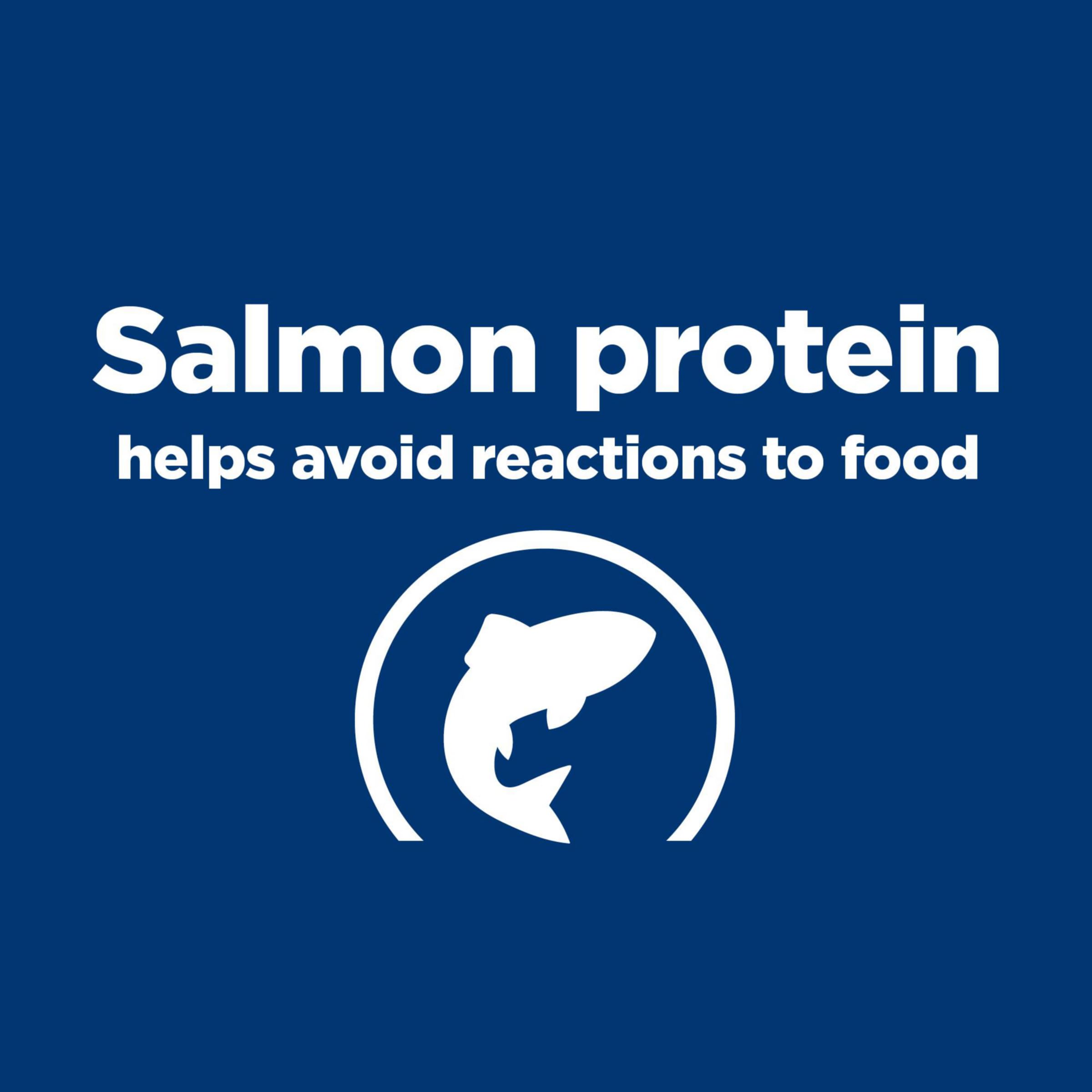 Hill's Prescription Diet d/d Skin/Food Sensitivities Salmon Formula Canned Dog Food - Veterinary Recommended Wet Food for Dogs with Allergies (13 oz, 12-Pack) - Ideal for Sensitive Skin & Digestive Support