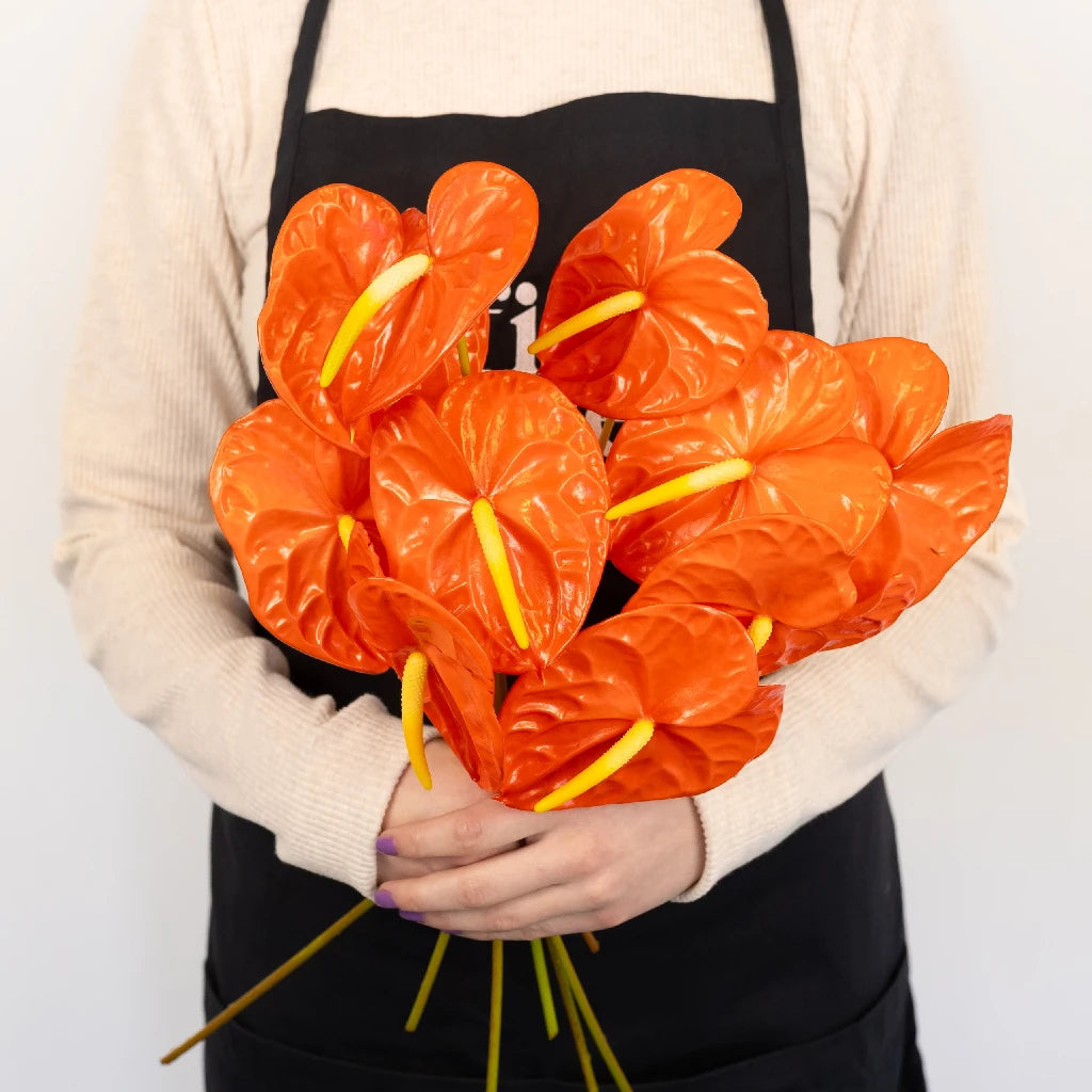 Anthurium Coral Dream Tropical Flower - Live Houseplant for Home & Office Decor - Perfect for Gifts, Weddings, and Indoor Gardening