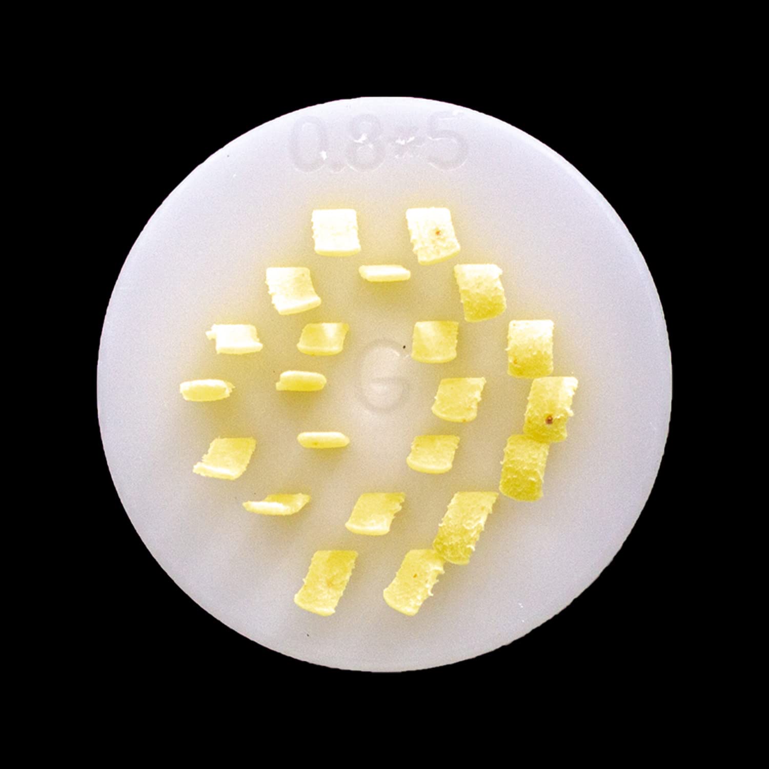 PHO Noodle Discs for Philips Automatic Pasta Maker - Compatible with Philips Pasta Machine Attachments - 5x0.8mm Vietnamese PHO Noodle Shape - Perfect for Asian Cuisine, Homemade Noodles & Pasta Making