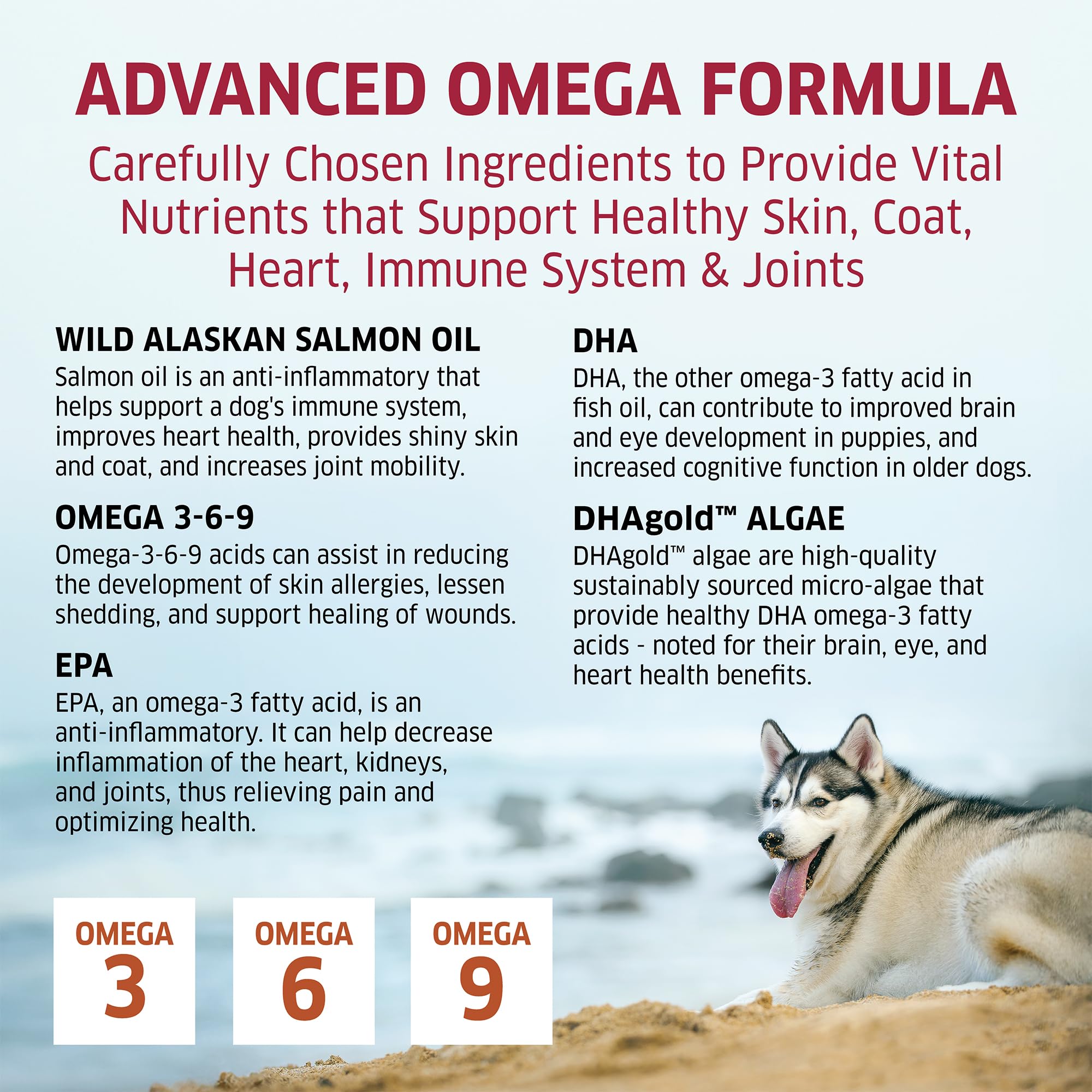 Premium Wild Alaskan Salmon Oil Soft Chews for Dogs - Omega 3 Fish Oil Supplement for Itch Relief, Joint Health & Allergy Support - 120 Count - Perfect for Daily Wellness & Skin Care