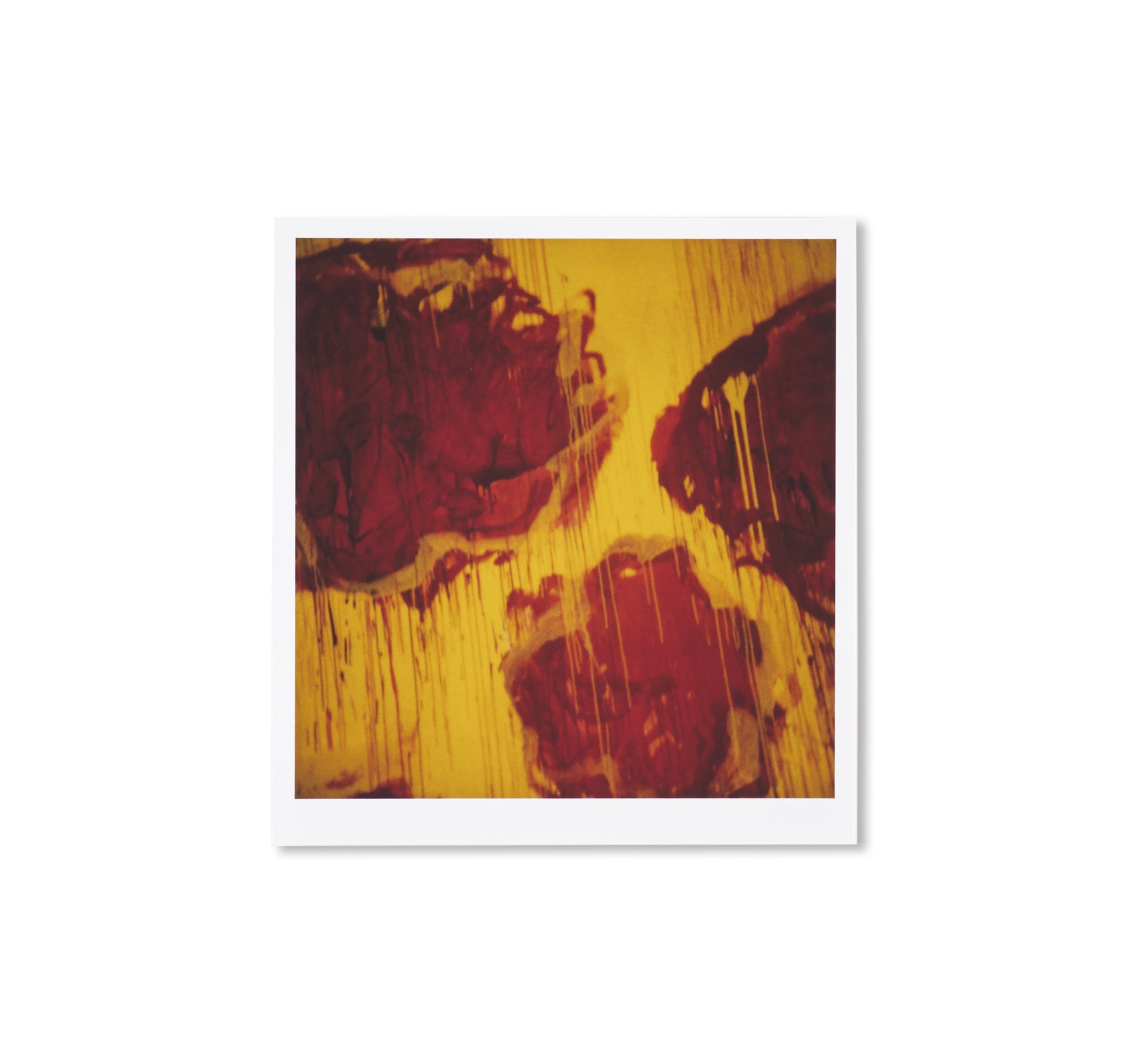 40 Photographs of Cy Twombly's Exhibition 'Blooming, A Scattering of Blossoms and Other Things' by François Halard - Art Book for Collectors & Museum Enthusiasts
