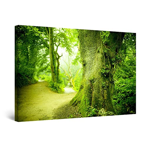 Green Trees Forest