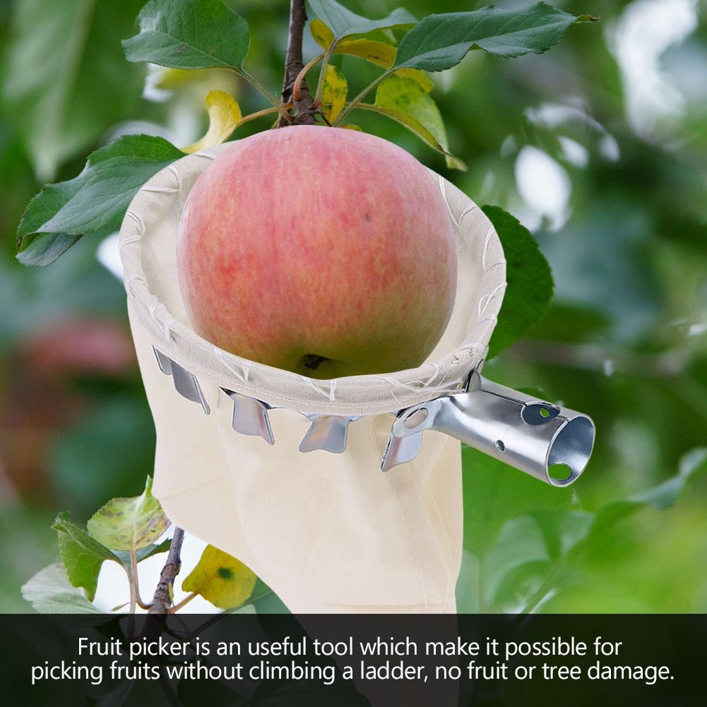 Yosoo Metal Fruit Picker Tool for Citrus, Pear, Peach - Garden Harvesting