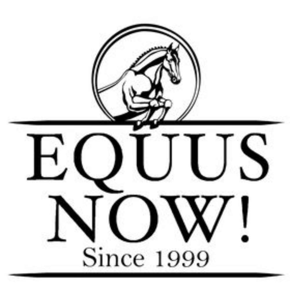 Perri's Padded Leather Horse Halter - Comfortable & Durable Havana/Hunter Green Equestrian Gear for Training & Show