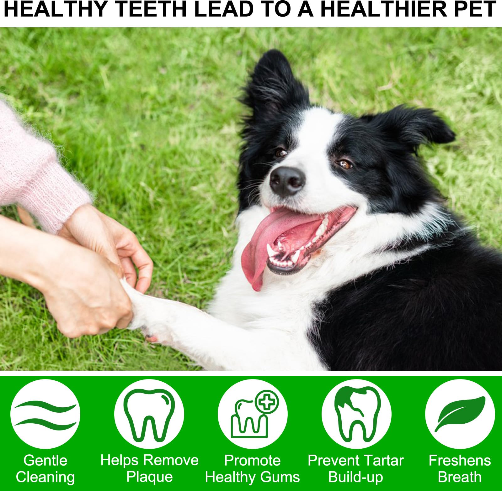 Pet Dental Wipes for Dogs & Cats - 50pcs Finger Toothbrush Wipes for Plaque & Tartar Removal, Dog Teeth Cleaning Kit with Breath Freshener - Perfect for Daily Oral Care at Home or Travel