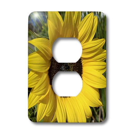 3D Rose Yellow Sunflower Summer Flowers Macro Light Switch Cover - Decorative Switch Plate for Home, Bedroom, Kitchen, Office - Floral Wall Decor