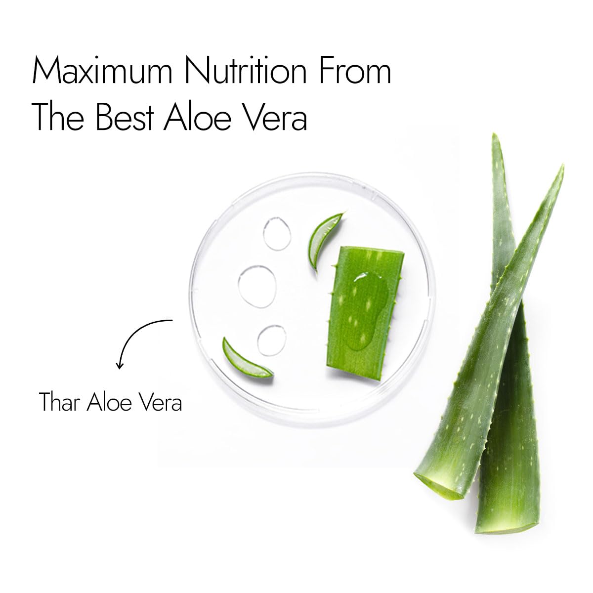 Kapiva Pure Aloe Vera Gel for Face & Hair - 500g Hydrating, Moisturizing & Soothing Skin Care | Multipurpose Aloe Gel for Sunburn Relief, After Shave, Hair Mask & Daily Skincare