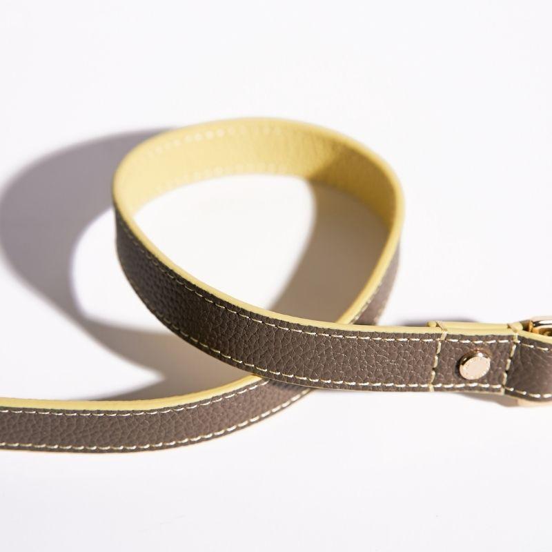 Premium Rosy Leather Dog Leash - Durable & Stylish for Small to Large Dogs - Perfect for Walking, Training & Outdoor Adventures