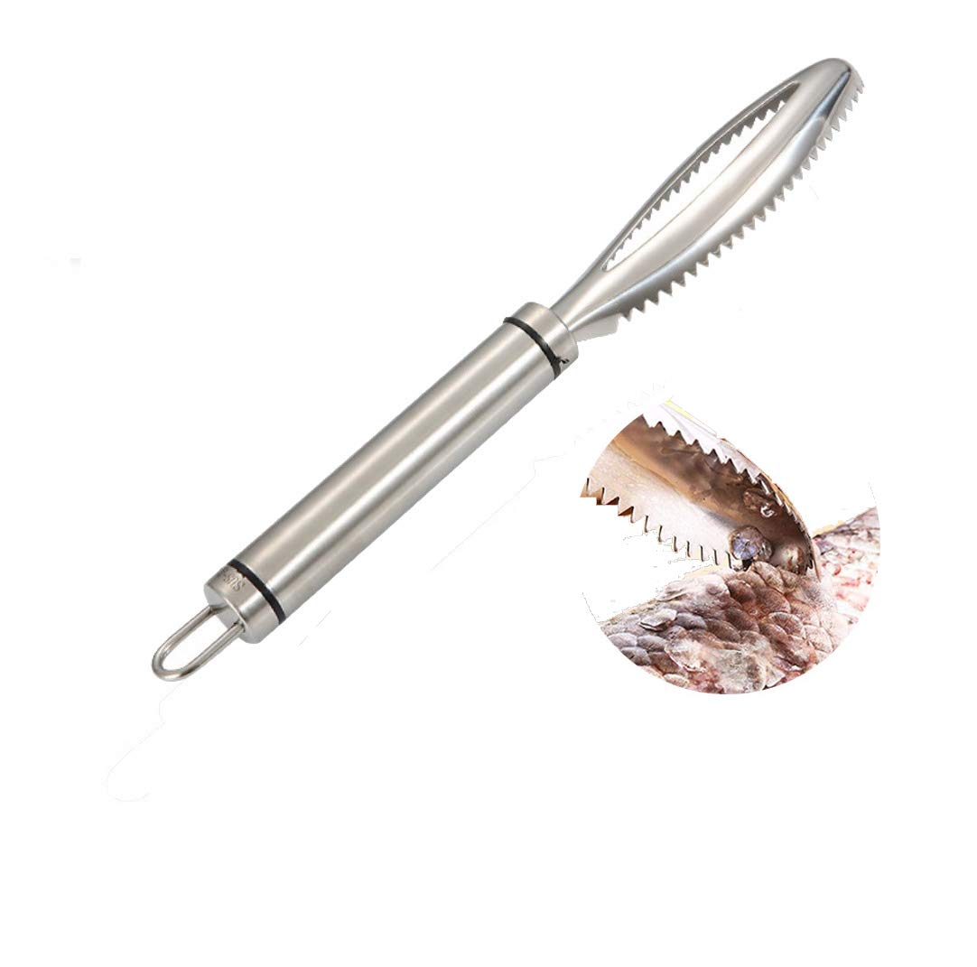 Premium Stainless Steel Fish Scale Remover Brush - Heavy Duty Kitchen Tool for Fast & Easy Fish Cleaning - Ergonomic Non-Slip Grip Handle - Perfect for Home Cooking, Professional Kitchens & Outdoor Fishing Trips (1 Piece)