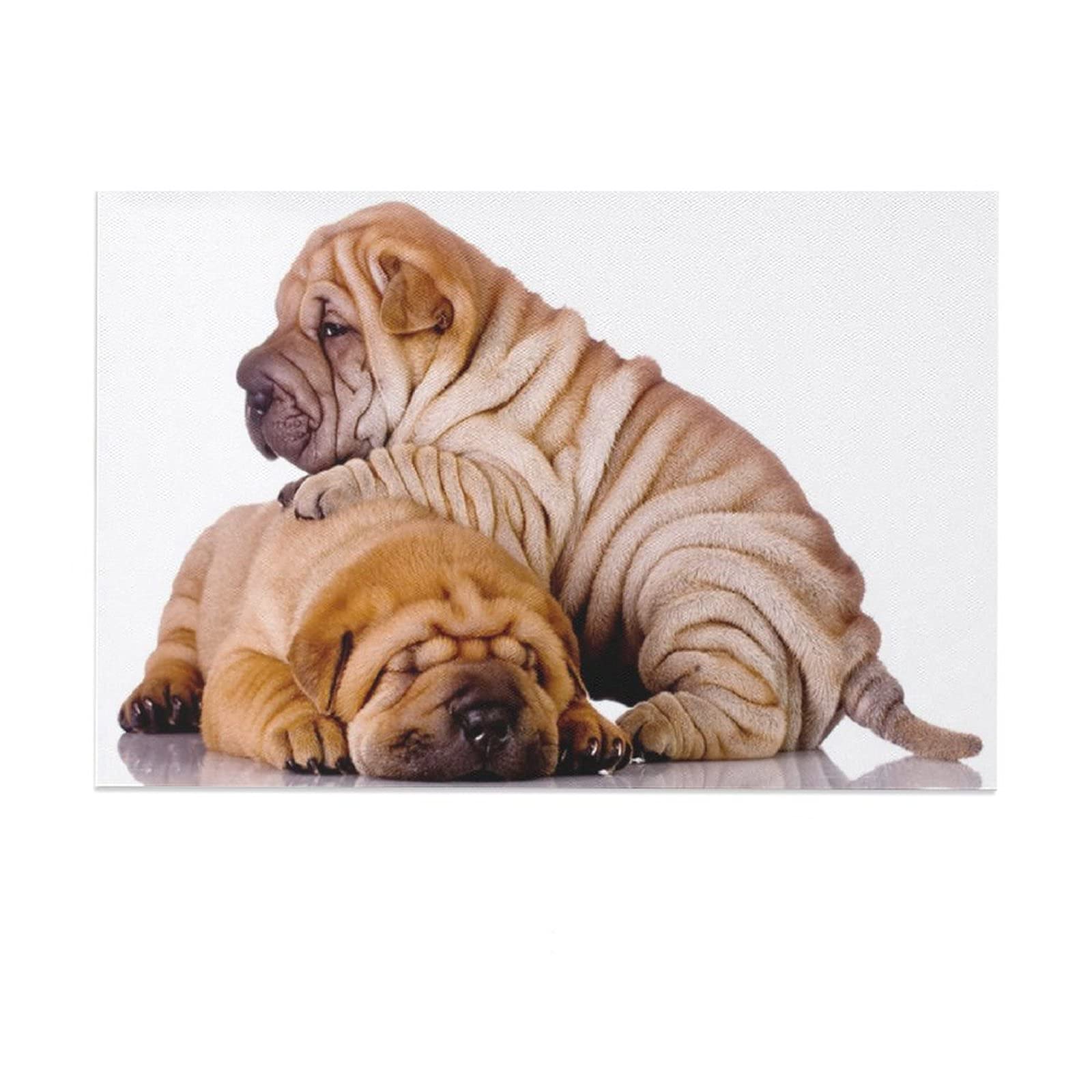 PYFXSALA Shar Pei Dog Canvas Wall Art - 12x18 Inch (30x45cm) Animal Poster for Home, Office, Bedroom & Living Room Decor - Perfect Gift for Dog Lovers & Pet Owners