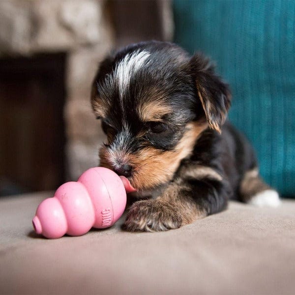 Kong Puppy Dog Chew Toy - Durable Rubber Chew Toy for Puppies & Small Dogs (3 Sizes) - Perfect for Teething, Training & Playtime