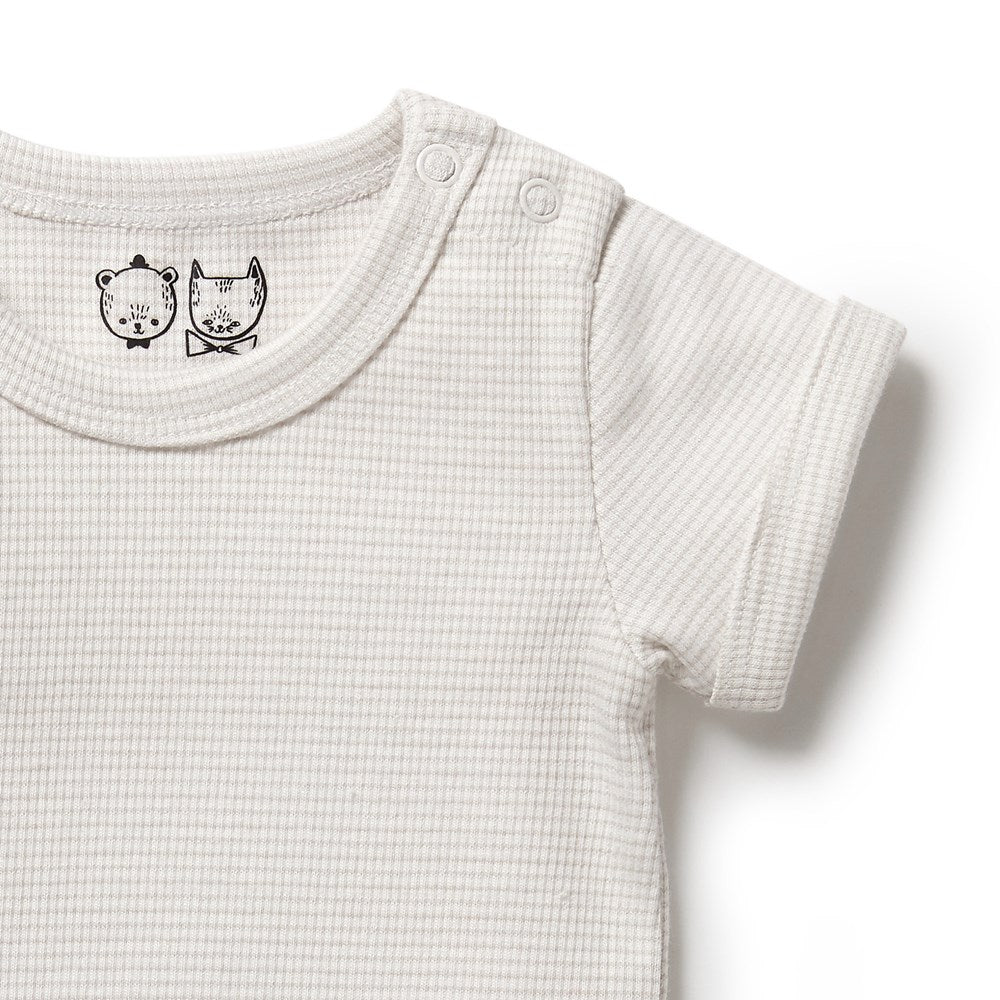 Organic Stripe Rib Bodysuit - Soft Cotton Baby Onesie for Newborns & Infants | Perfect for Playtime, Photo Shoots & Everyday Comfort