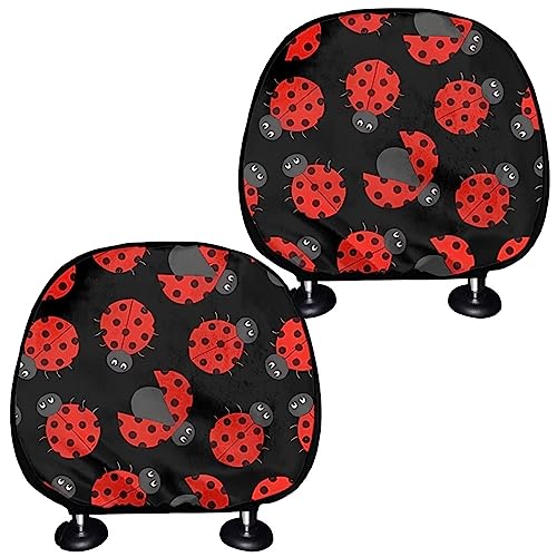 Red Ladybug